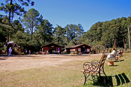 Horto Florestal
